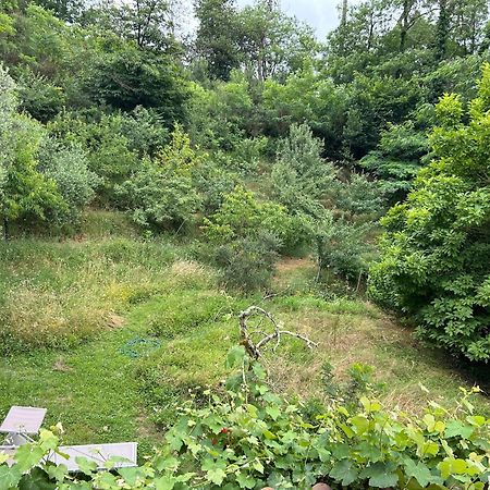 Bed and Breakfast Casa Octavia San Martino in Freddana Exterior foto