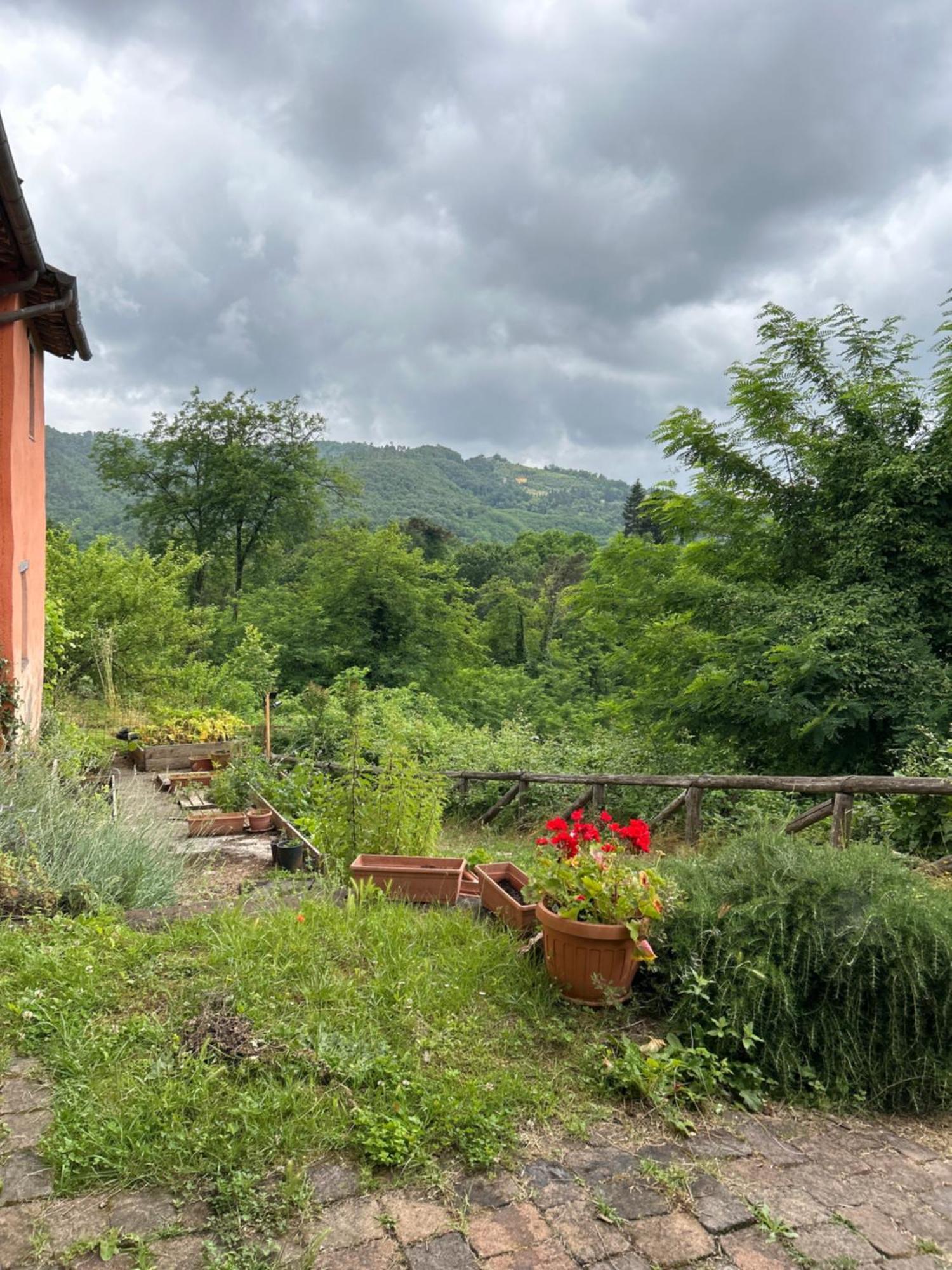 Bed and Breakfast Casa Octavia San Martino in Freddana Exterior foto